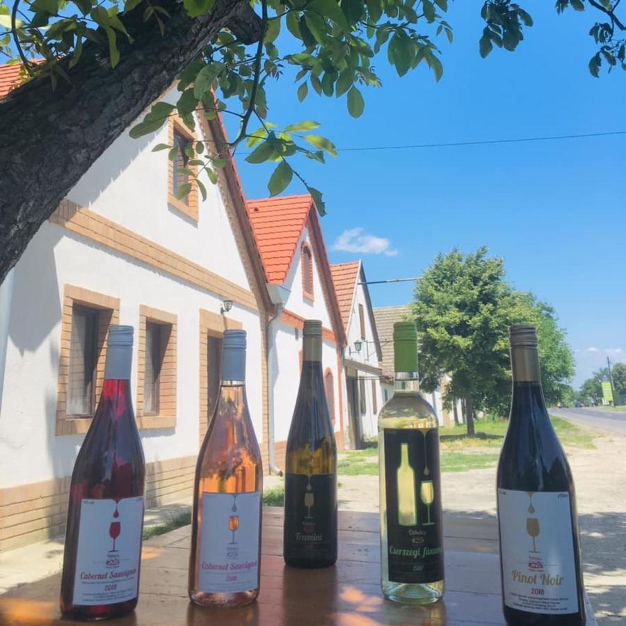 Takacs Pince Apartman Hajos Buitenkant foto